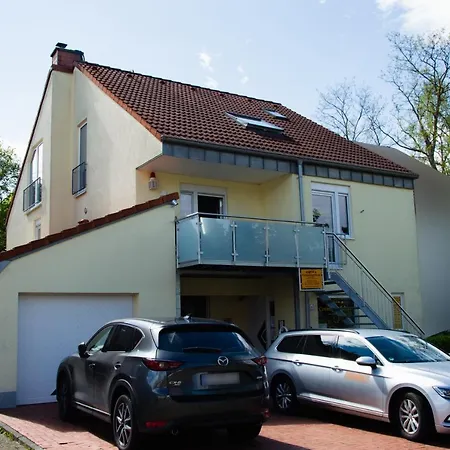 Naturnahe Schoene Neu Gestaltete Wurselen
